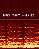Example frequency range (maximum 4kHz)